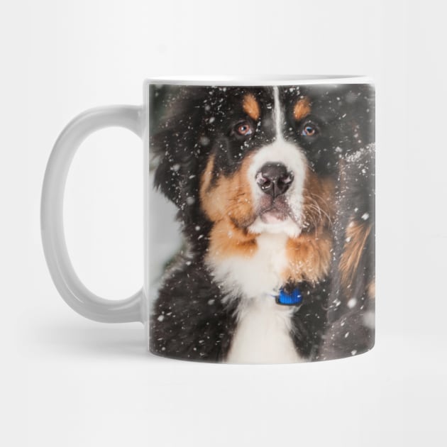 Everything I Own Is Covered In Dog Hair | Cute Bernese Puppies In Snow Photography by Nonconformist